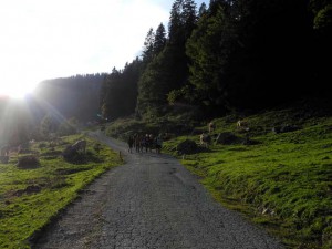 Aton-Schule-Bergtour-Oberstufe-2kl